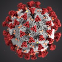 Antikörper-Tests für Corona: Wenn die Kosten fallen, dann steigt die Bereitschaft zum Testen